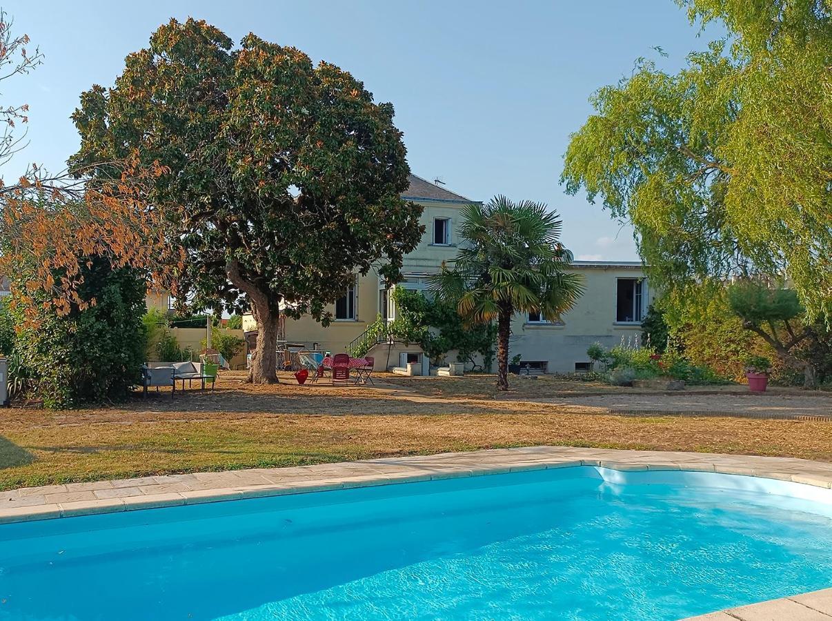Le Magnolia, Chambre D'Hote Au Calme Сомюр Екстериор снимка